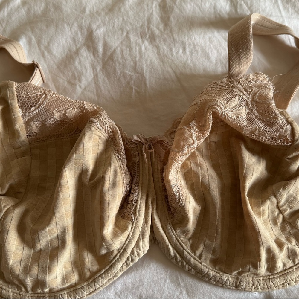 Prima Donna Lace Accent Madison Bra 32H